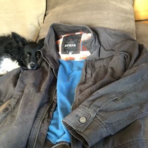 Prana jacket, Grey in color M
